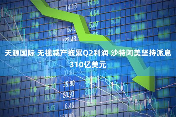 天源国际 无视减产拖累Q2利润 沙特阿美坚持派息310亿美元